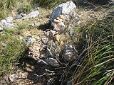 IMG_2946 Kis kövekből túristajelzés egy száraz faágra tornyozva.